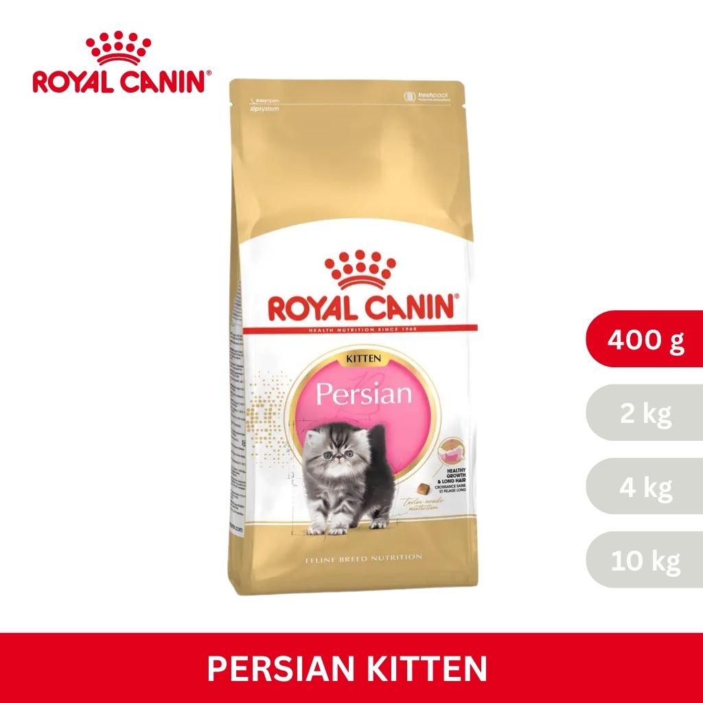 Royal Canin KITTEN PERSIAN