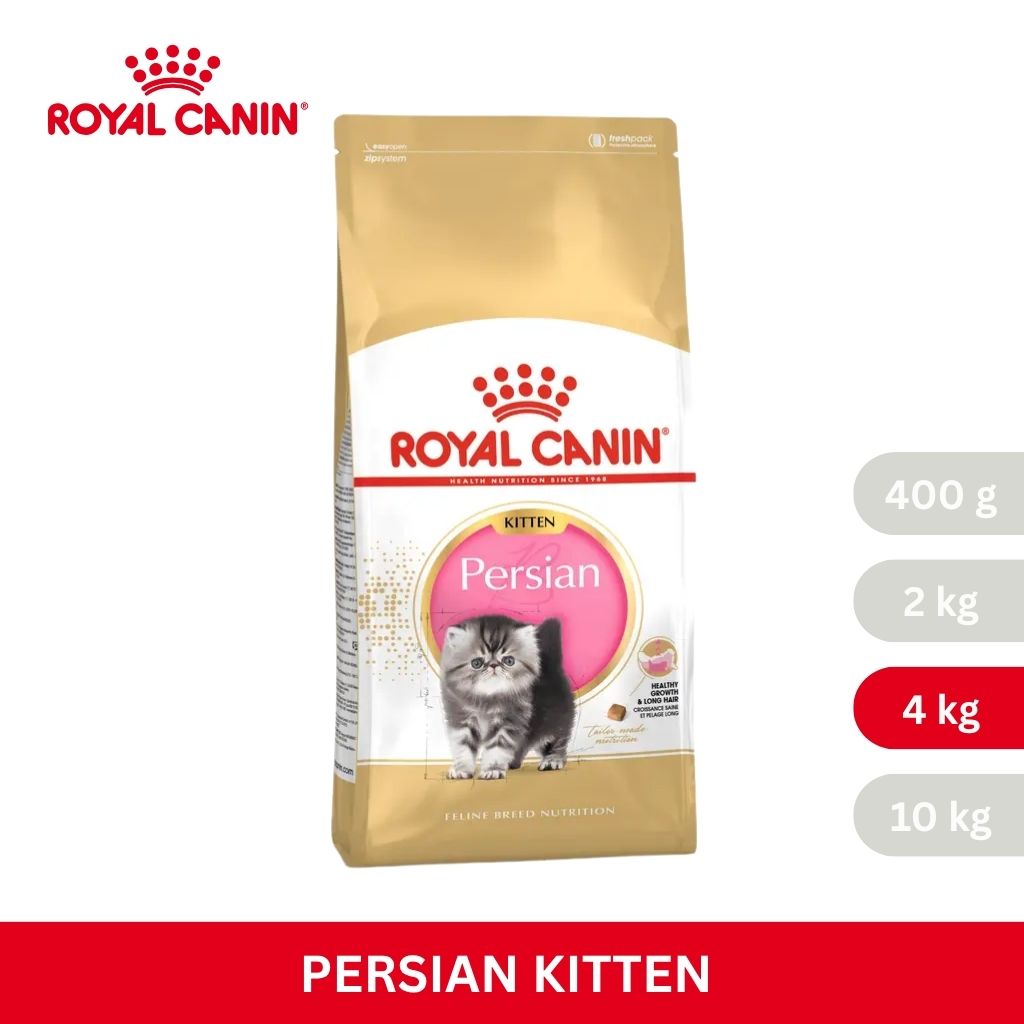 Royal Canin KITTEN PERSIAN