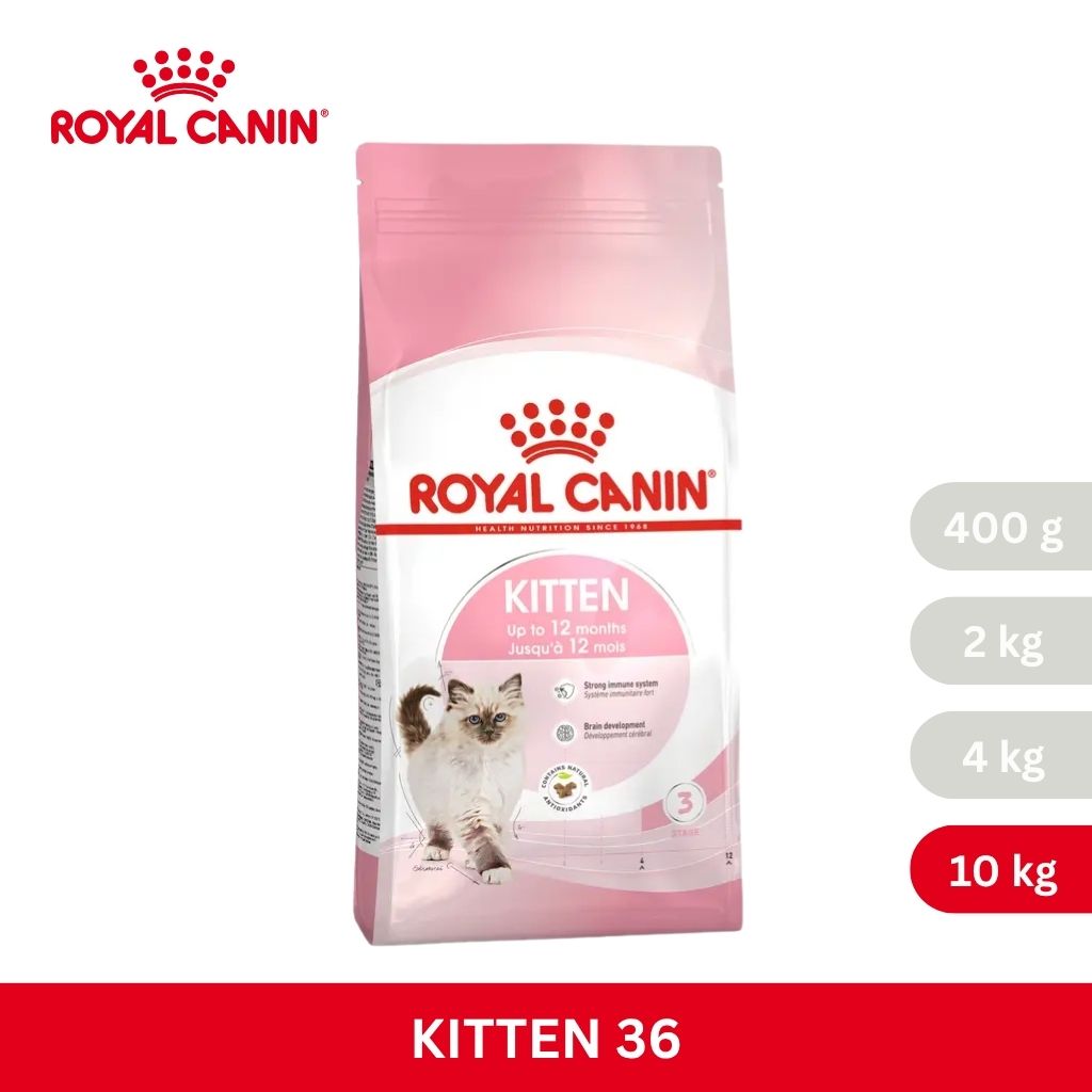 Royal Canin KITTEN