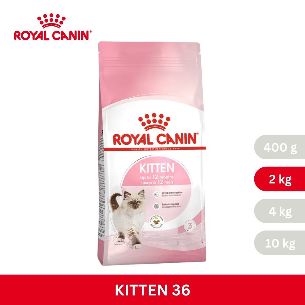 Royal Canin KITTEN