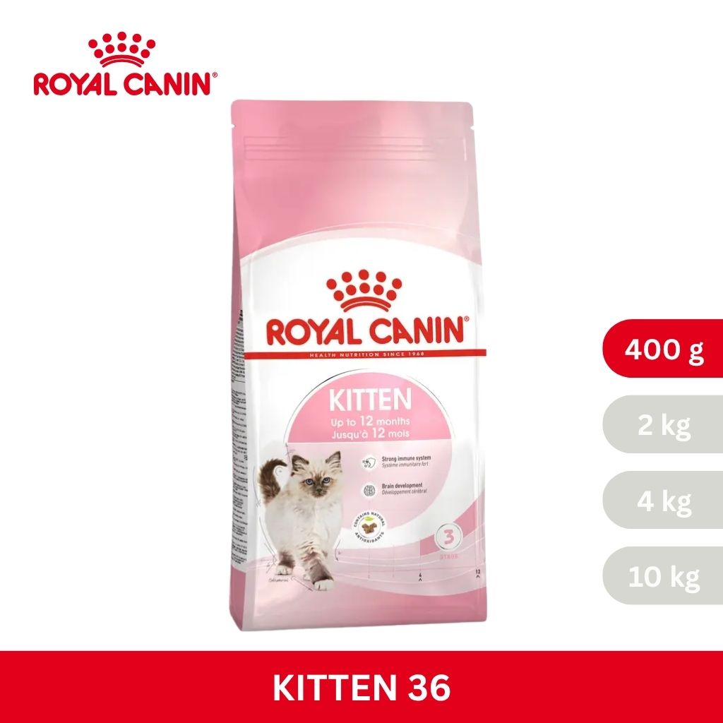 Royal Canin KITTEN