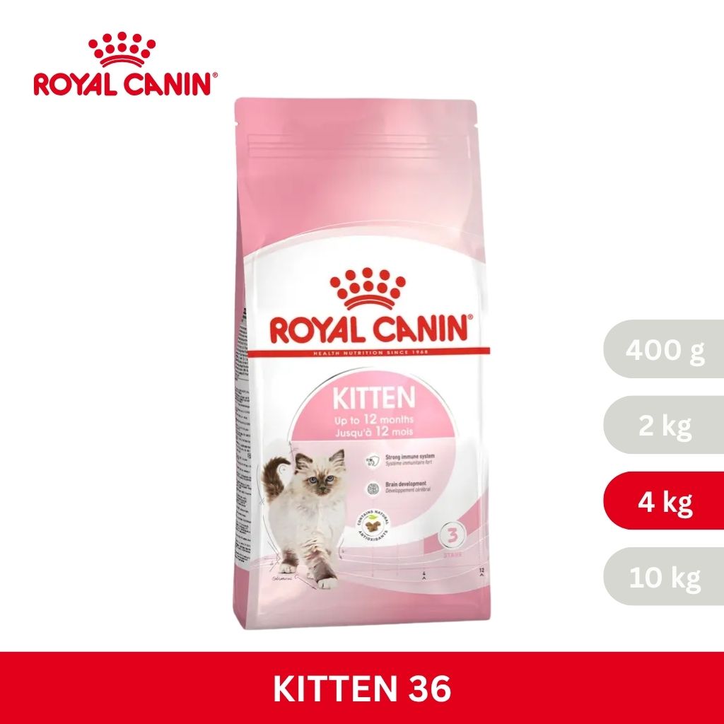Royal Canin KITTEN
