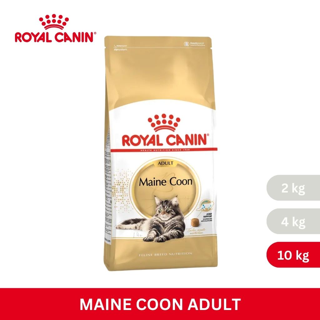 Royal Canin MAINECOON ADULT