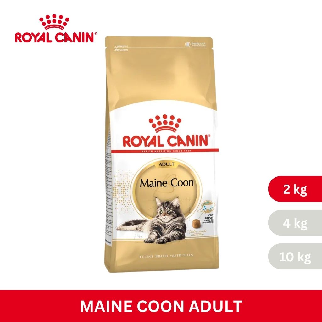 Royal Canin MAINECOON ADULT