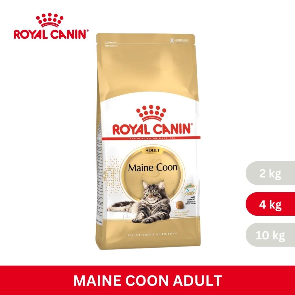 Royal Canin MAINECOON ADULT