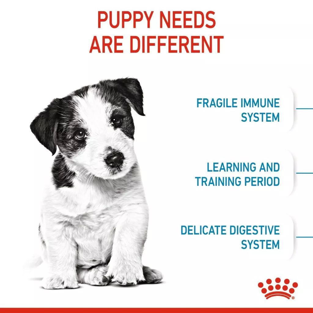 Royal Canin MINI PUPPY