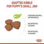 Royal Canin MINI PUPPY