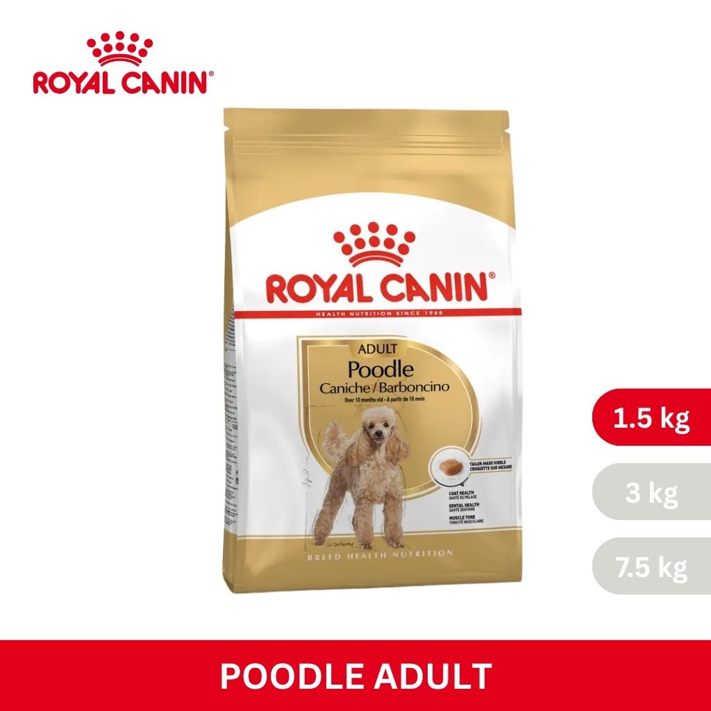 Royal Canin POODLE ADULT