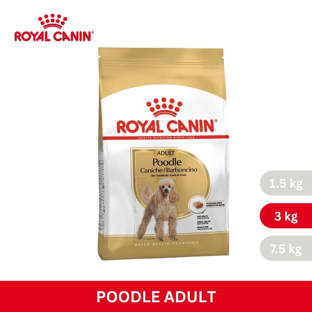 Royal Canin POODLE ADULT