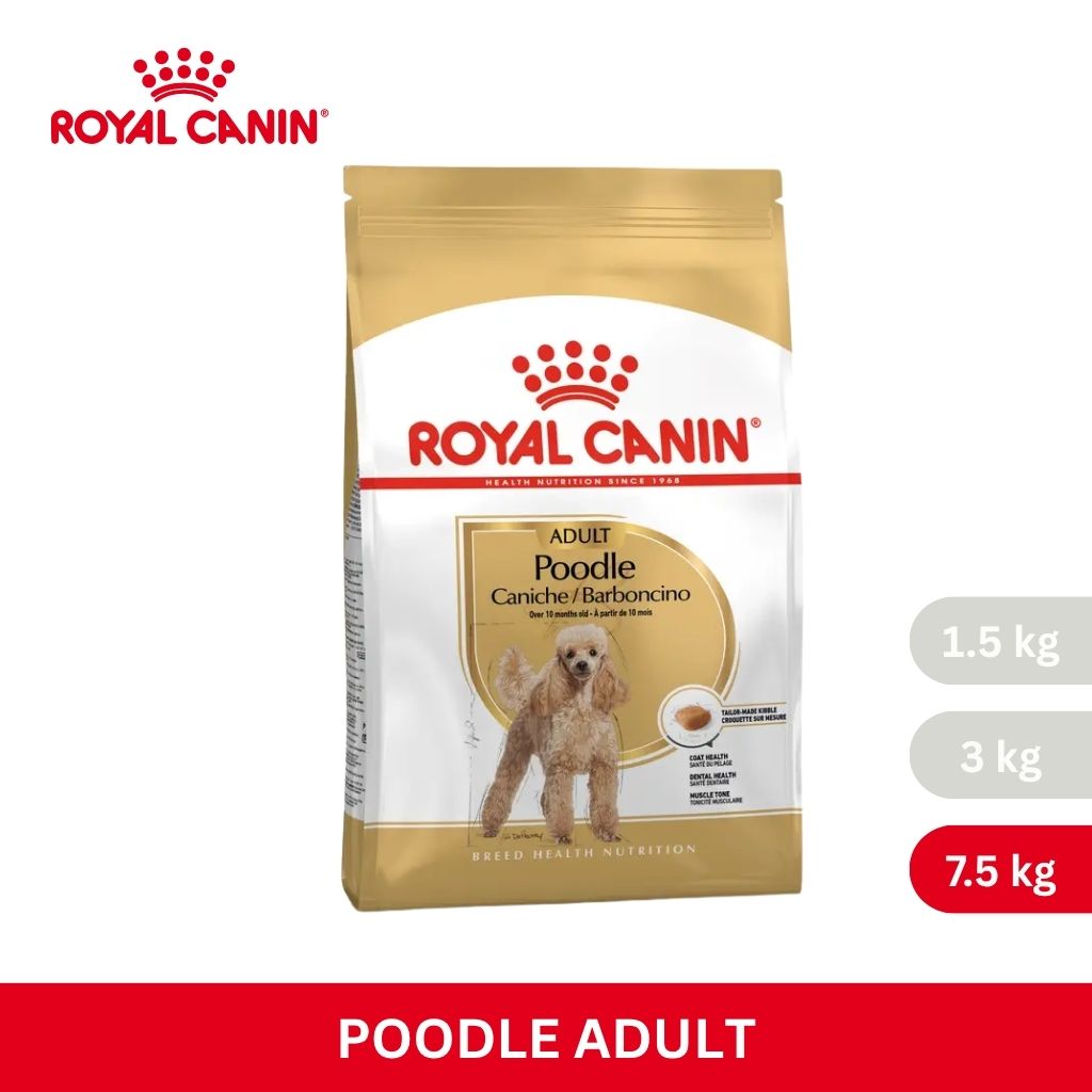 Royal Canin POODLE ADULT