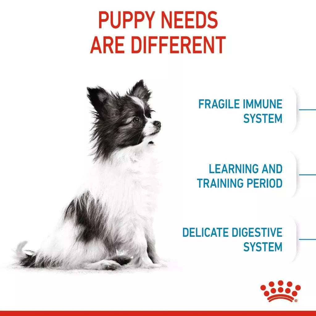 Royal Canin X-SMALL PUPPY