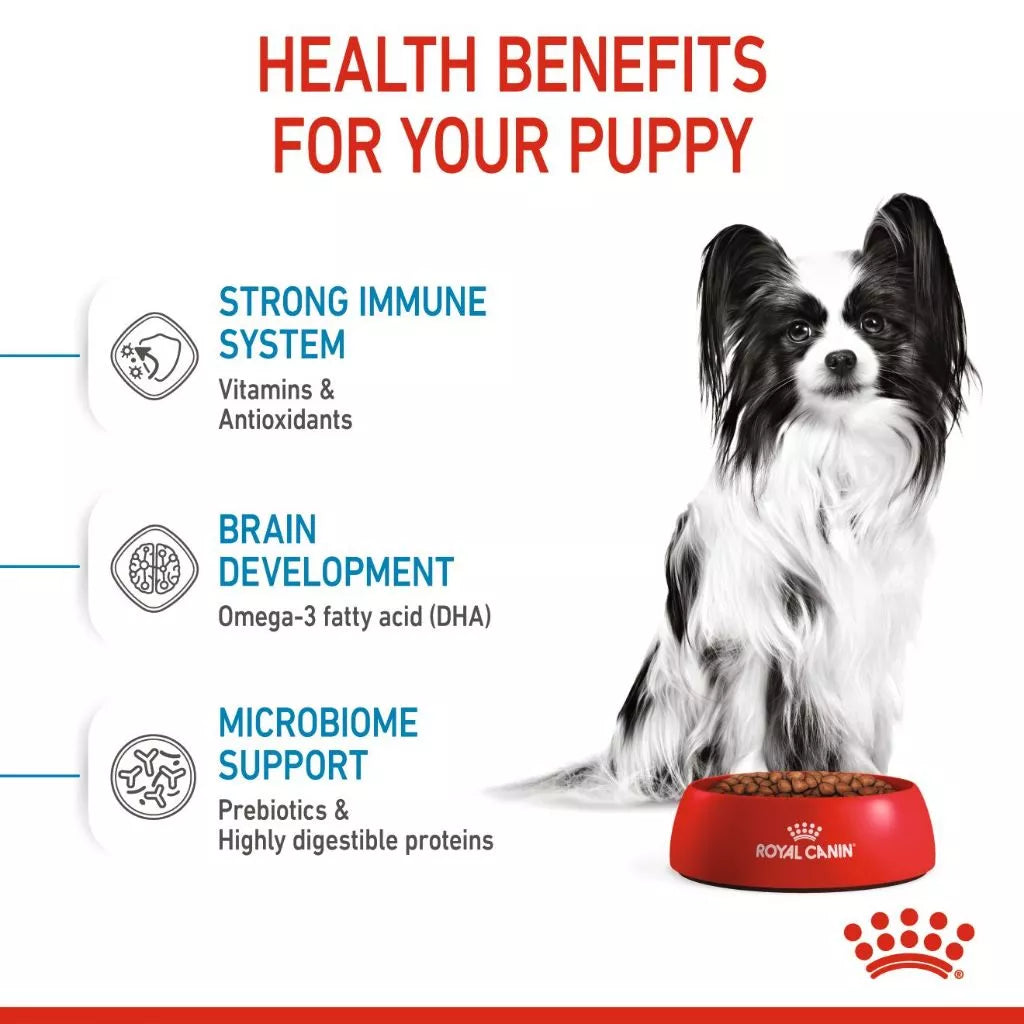 Royal Canin X-SMALL PUPPY