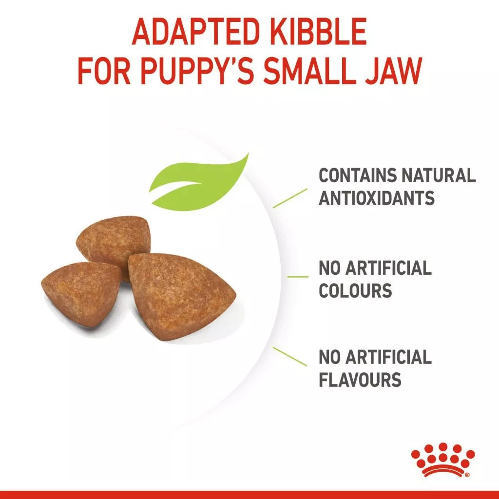 Royal Canin X-SMALL PUPPY