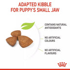 Royal Canin X-SMALL PUPPY