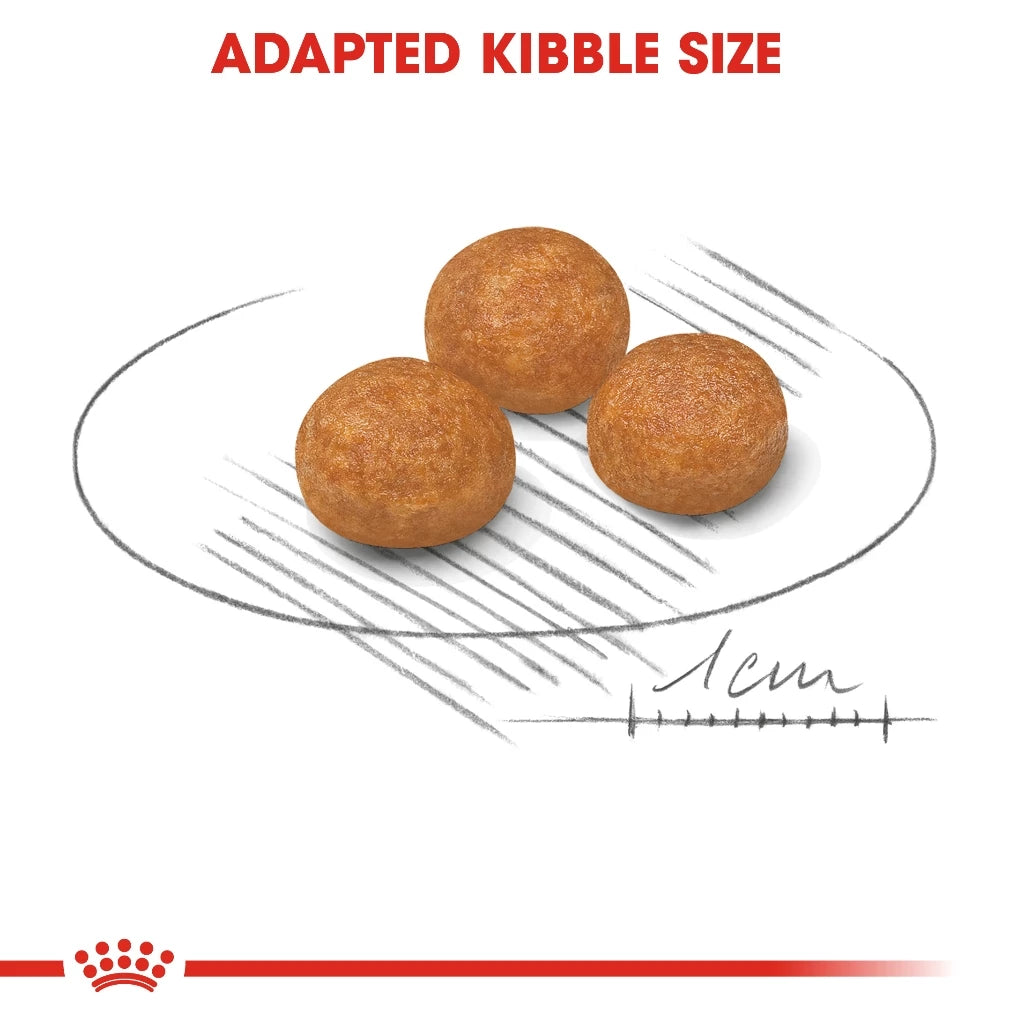Royal Canin X-SMALL ADULT