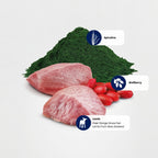 N&D Prime Lamb & Blueberry Dewasa Kucing 300g