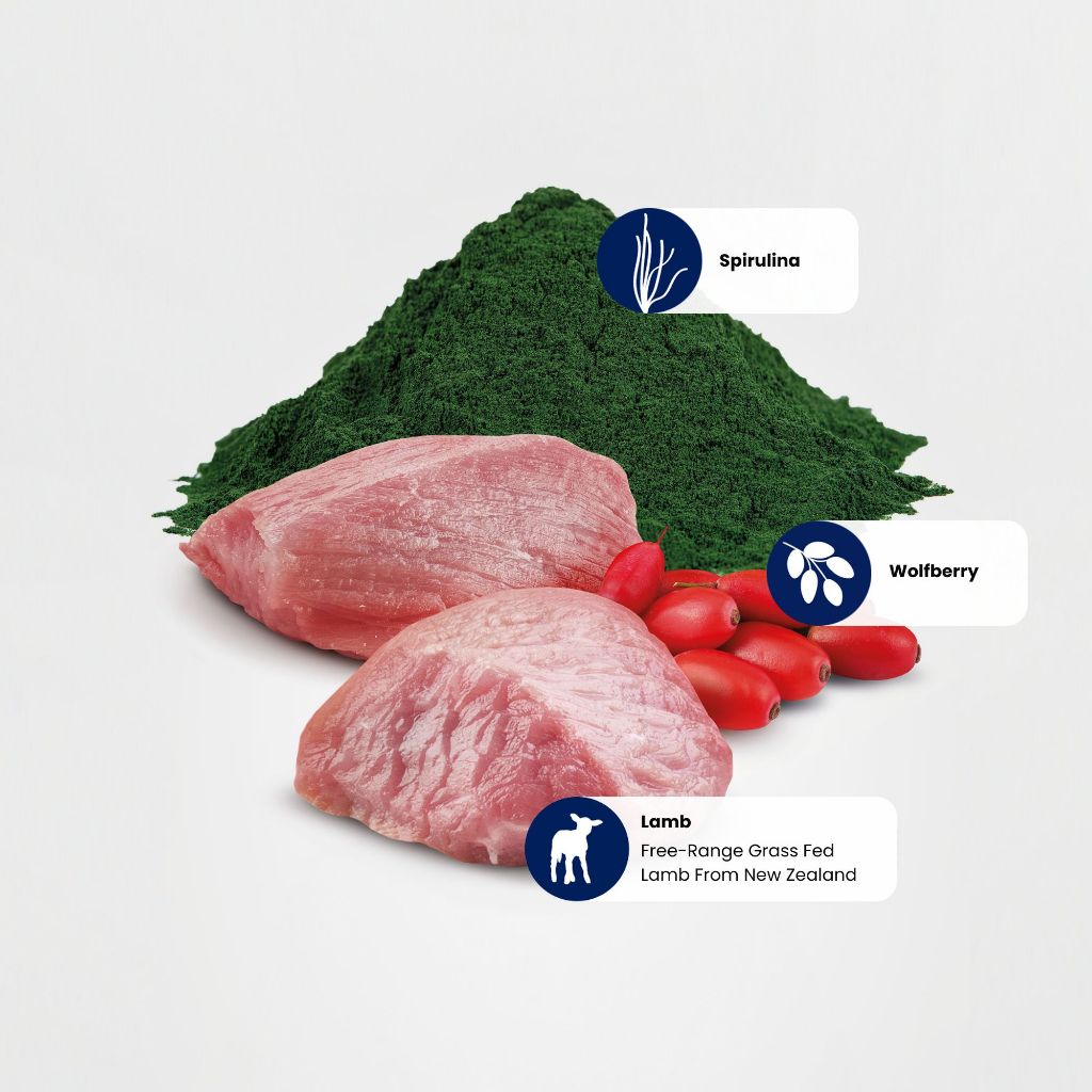 N&D Spirulina Lamb Adult Cat 1.5kg